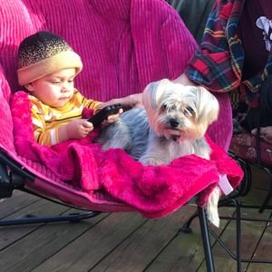 Meet your Posher, Brook